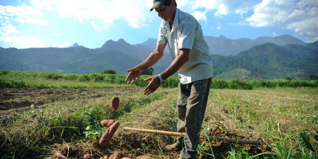 bndes-vai-liberar-r$-12-bi-para-produtores-rurais-com-perdas-de-safra